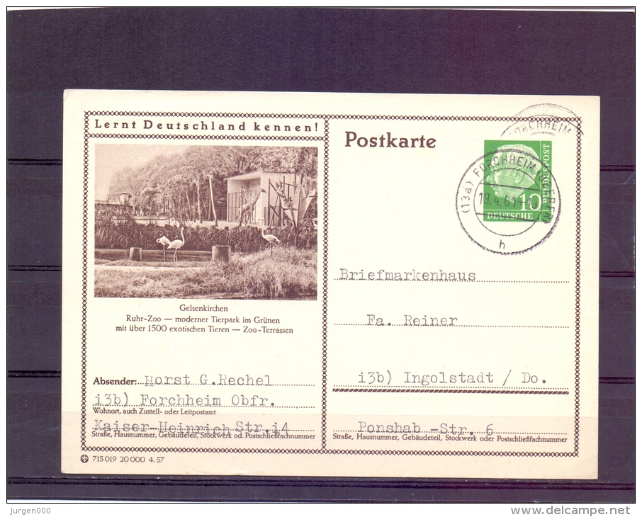 Deutsche Bundespost - Postkarte - Ruhr-Zoo  Gelsenkirchen  - Forchheim 19/4/61  (RM7294) - Flamants