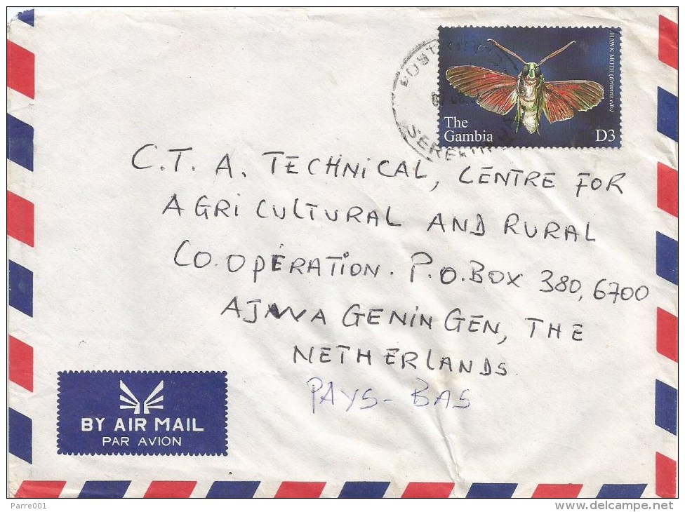 Gambia 2004 Serekunda Erinnyis Hawk Moth Insect Cover - Gambia (1965-...)