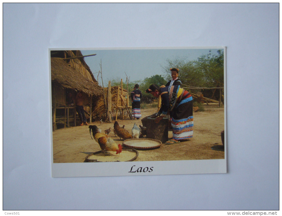 Asie  :   LAOS :Nord Laos  -village Hmong ,vannage Du Riz - Laos