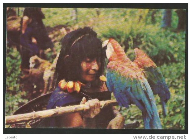 ECUADOR Jibaros Woman With A Macaw - Equateur