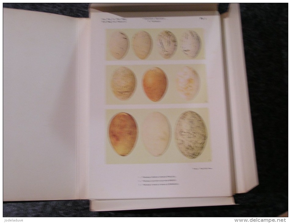 OOLOGIA BELGICA Verheyen 1967 Institut Royal Sciences Naturelles Belgique Oeuf Ornithologie Oiseaux Ornithologue Oiseau