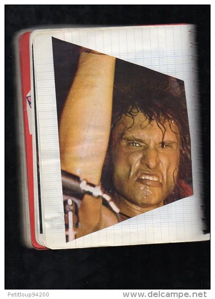 CAHIER  JOHNNY HALLYDAY  Coupures de Presse