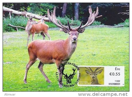 IRELAND (2011) - Tarjeta Máxima / Maximum Card ATM - Red Deer - Fia Rua (Cervus Elaphus) - Maximumkarten