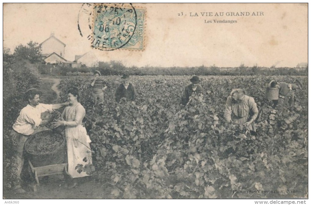 CPA Métier Viticulteur - La Vie Au Grand Air - Les Vendanges - Phototypie Vasselier Nantes - Landbouwers