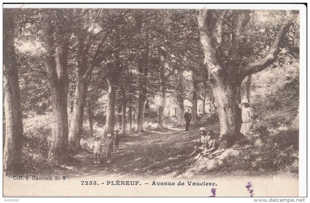 CPA 22 PLENEUF VAL ANDRE Avenue De Vauclerc, Animée - Hamonic - Pléneuf-Val-André