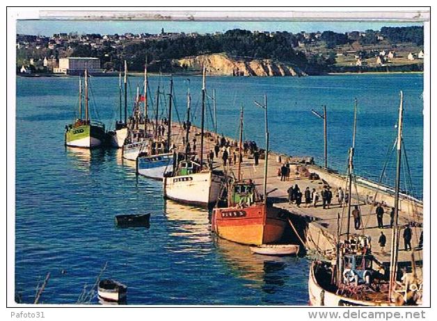 29 CROZON MORGAT BATEAUX PECHE AU PORT  1976  CP345 - Crozon