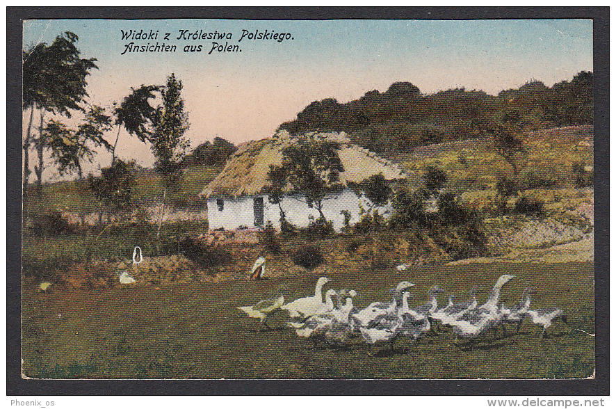 POLAND - Ethnics, Farmhouse And Geese, Bauernhaus Und Gänse, Year 1916 - Europe