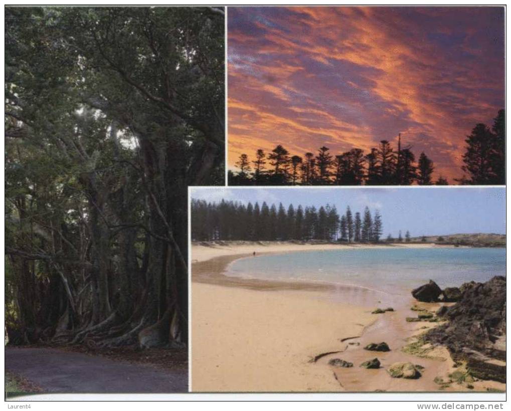 1 X Ile De Norfolk - Norfolk Island - Bunyan Trees, Sunset, Emily Bay - Norfolk Island