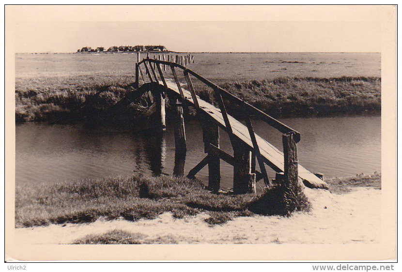 AK Hallig Hooge - Hanswart (10344) - Halligen