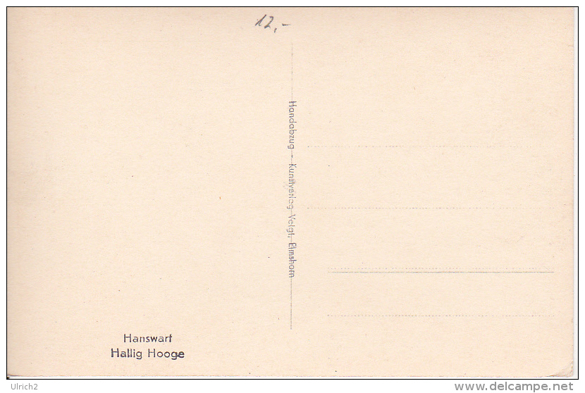AK Hallig Hooge - Hanswart (10344) - Halligen