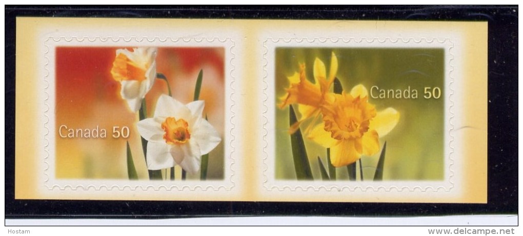 CANADA 2005, # 2092-3, DAFFODILS PAIR,   FROM QUARTELY PACK  MNH, From Quartely Pack - Timbres Seuls