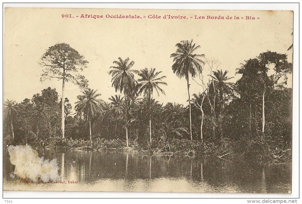 S1628 - 901 - Côte D' Ivoire - Le Bords De La "Bia" - Côte-d'Ivoire