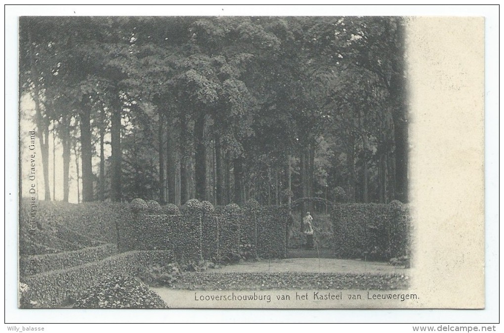 Carte Postale - Looverschouwburg Van Het Kasteel Van LEEUWERGEM - Château - CPA  // - Zottegem