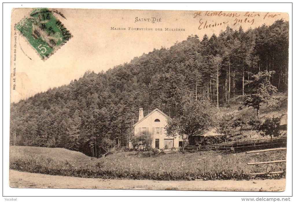 CP, 88, SAINT-DIE, Maison Forestière Des Molières, Voyagé - Saint Die