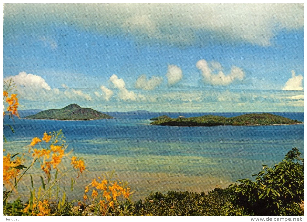 Beau Timbre  / CP , Carte , Postcard Du 23 Mars 76 Pour La France - Seychellen (1976-...)