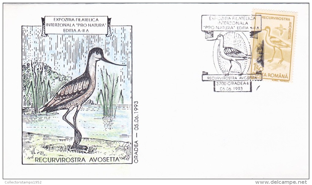 2957A  BIRDS RECURVIROSTRA AVOSETTA,1993 SPECIAL COVER STAMPS OBLITERATION CONCORDANTE ROMANIA. - Albatrosse & Sturmvögel