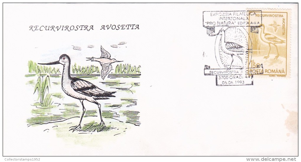 2958A  BIRDS RECURVIROSTRA AVOSETTA,1993 SPECIAL COVER STAMPS OBLITERATION CONCORDANTE ROMANIA. - Albatros & Stormvogels