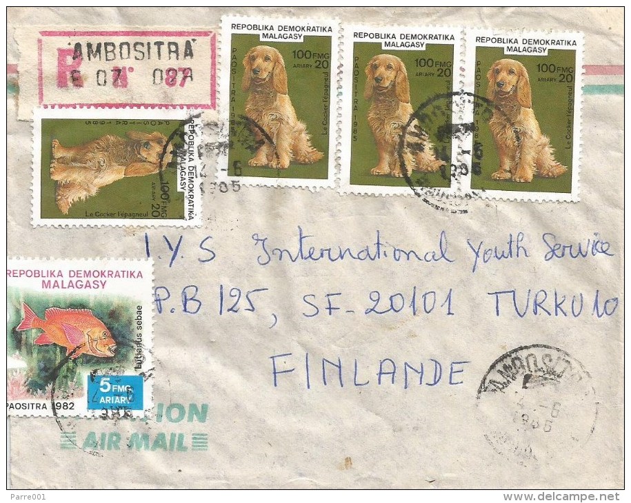 Madagascar 1985 Ambositra Cocker Spaniel Dog Fish Registered Cover - Madagaskar (1960-...)