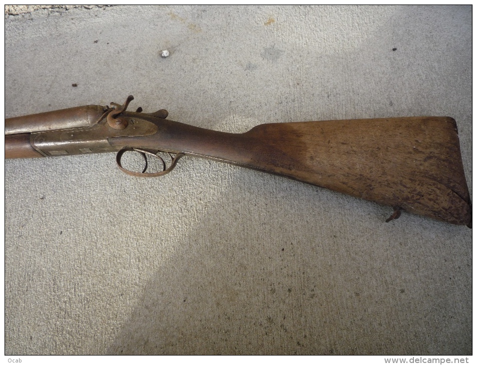 Ancien fusil de chasse à chien