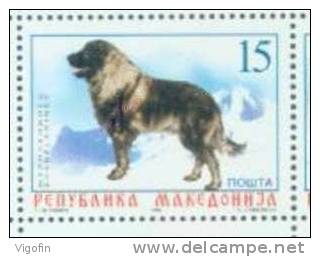 MK 1999-150 DOG, MAKEDONIA, 1v, MNH - Noord-Macedonië