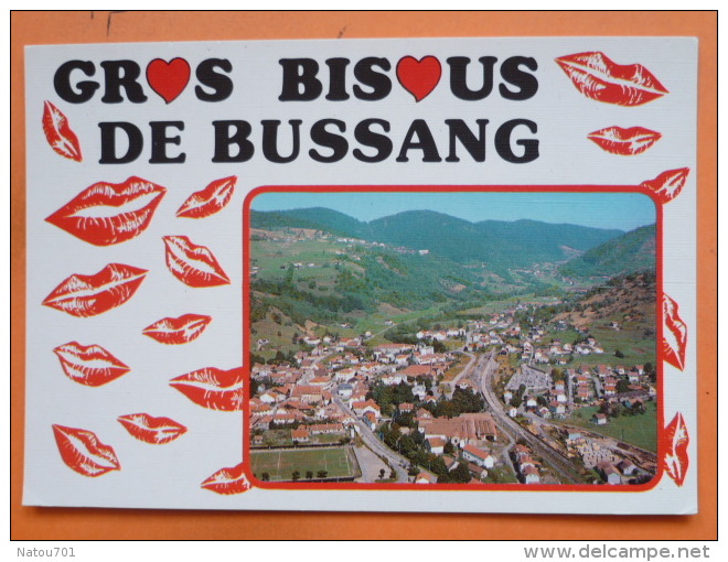 V09-88-A-vosges--gros Bisous De Bussang--vue Generale-- - Chatenois