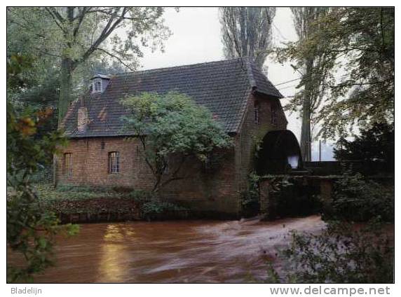 BALEN (Antw.) - Molen/moulin - Schitterende Opname Van De Hoolstmolen In Werking: Olieslaan Bij Valavond (1993) - Balen