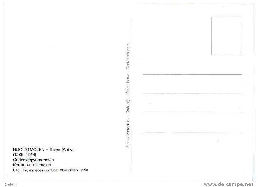 BALEN (Antw.) - Molen/moulin - Schitterende Opname Van De Hoolstmolen In Werking: Olieslaan Bij Valavond (1993) - Balen