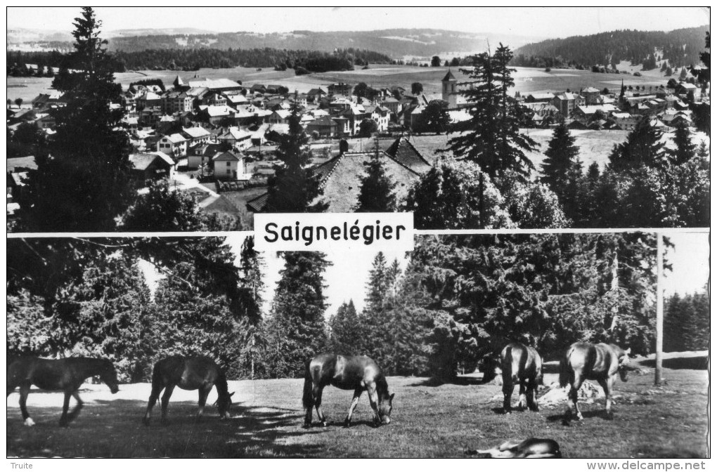 SAIGNELEGIER DOUBLE VUES CHEVAUX ET VILLAGE - Saignelégier