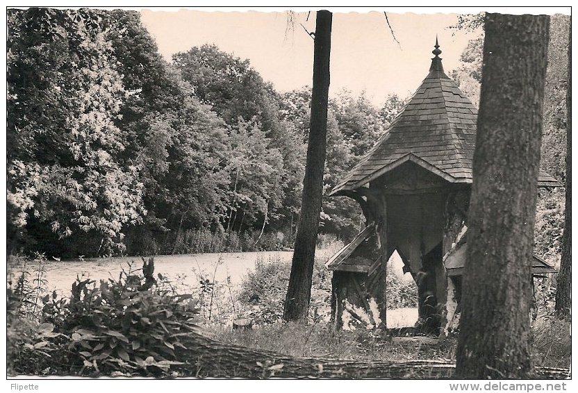 L12.245 -  Bois Courtin - Un Coin Du Parc - Photo Bessard - Autres & Non Classés