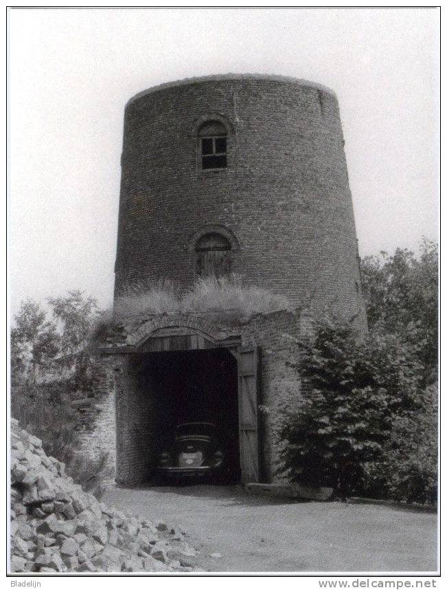 ASSENEDE (O.Vl.) - Molen/moulin - Romp Van De Hollandse Molen In 1983 Voor De Aanpassingen/ Renovatie - Assenede