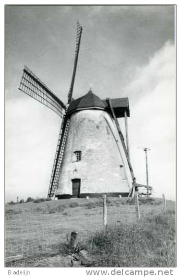 NUKERKE Bij Maarkedal - Grens Ronse (O.Vl.) - Molen/moulin - Mooie Opname Van Molen Ter Hengst In 1987 - Maarkedal