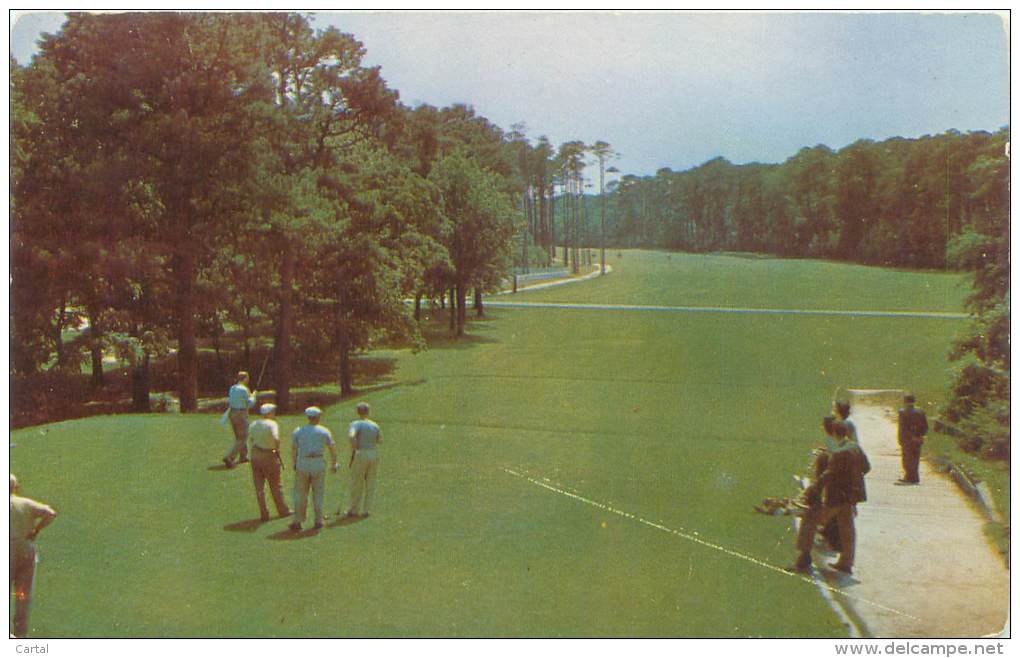 Golfing On A Beautiful Course - Golf