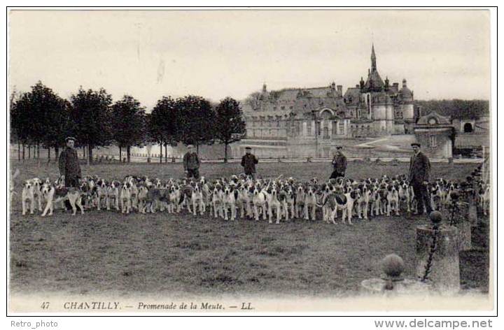 Chantilly - Promenade De La Meute ( Chasse à Courre ) - Chasse