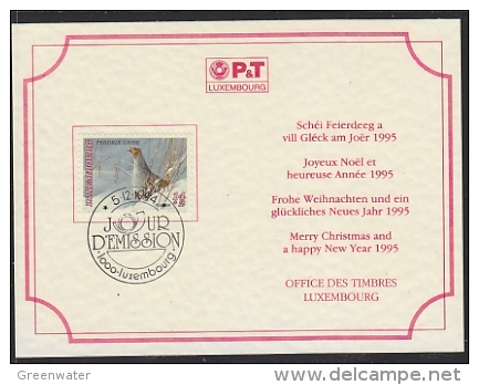 Luxemburg 1994 Christmas Card Office Des Timbres (F2666) - Lettres & Documents