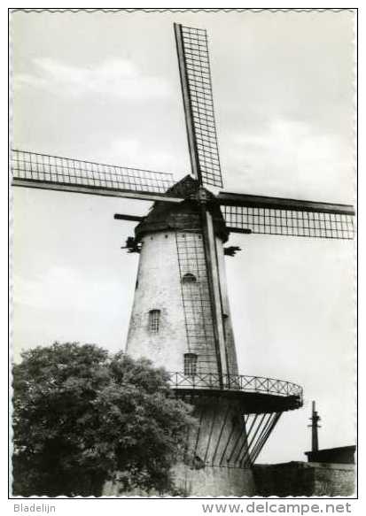 DEERLIJK (W.Vl.) - Molen/moulin - Molen Declercq Of "Ter Geest En Te Zande" Omstreeks 1970 Tijdens Restauratie V.d. Kap - Deerlijk