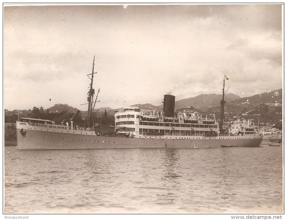 Funchal - REAL PHOTO - Paquete Quanza / Cuanza - Madeira. Navio. Barco. Packet Boat. Ship. Navire. Bateau. - Altri & Non Classificati