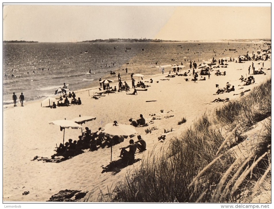 Bulgaria, Nessebre, La Plage De La Cote Du Soleil, Used Real Photo Postcard [14300] - Bulgaria