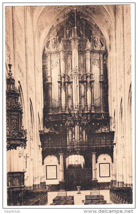 ´s Hertogenbosch - Interieur V.d. Kathedraal St. Jan ; Het Orgel - ORGUE / ORGAN / ORGEL - Holland/Nederland - 's-Hertogenbosch