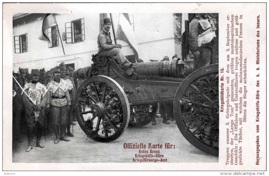 Truppen Unserer 3.Gebirgsbrigade Mit .... Karte Des Roten Kreuzes Hilsbüro, Gel.1914 - Croix-Rouge