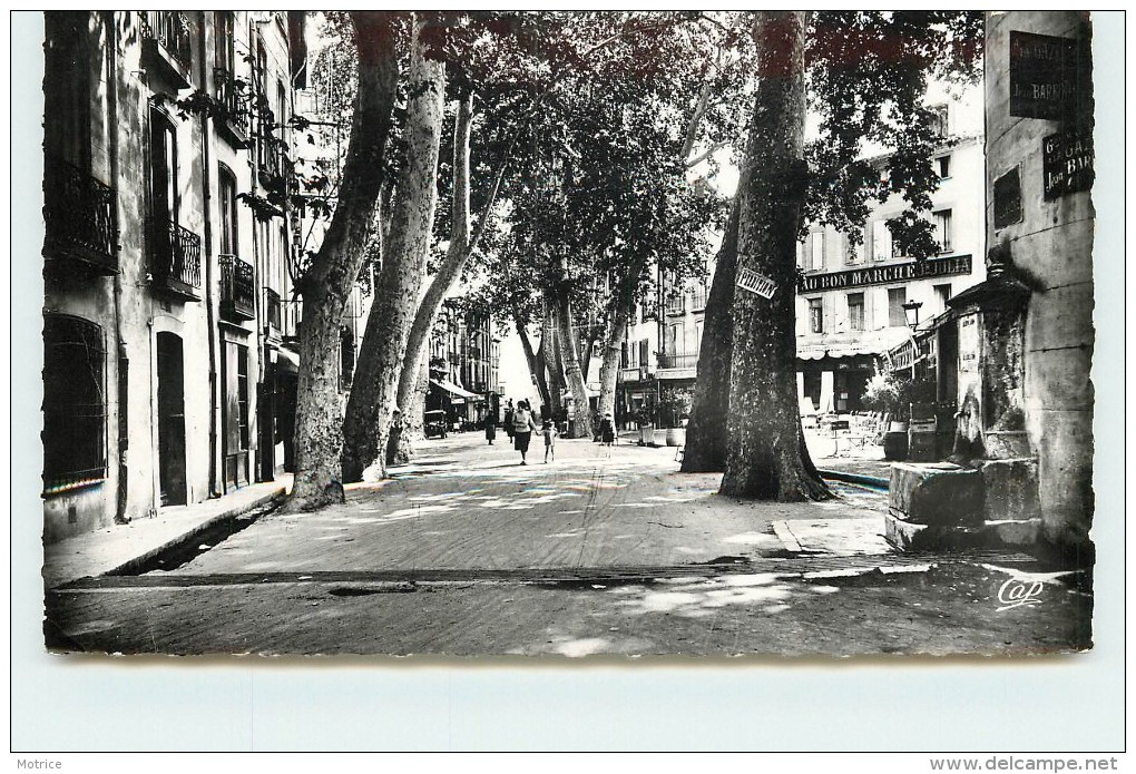 CERET - Boulevard Maréchal Joffre. - Ceret