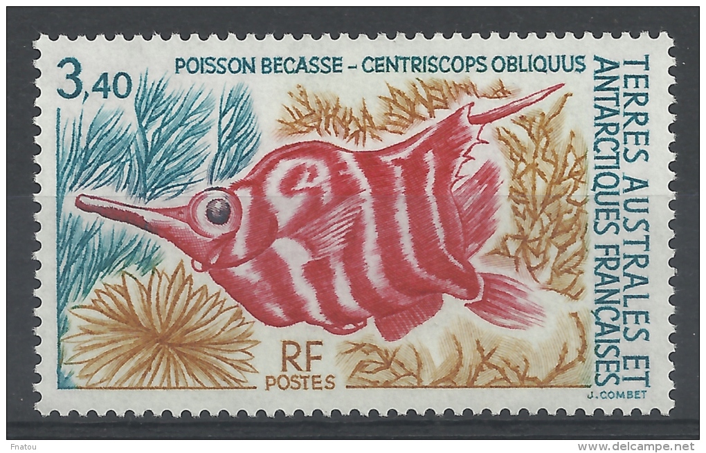 French Antarctic (FSAT), Banded Bellowsfish, 1993, MNH VF - Neufs