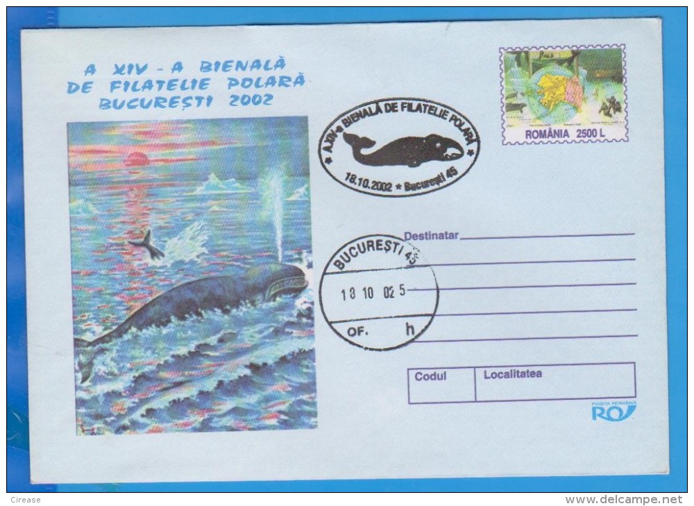 Hunting Whales, Romania  Postal Stationery 2002 - Ballenas