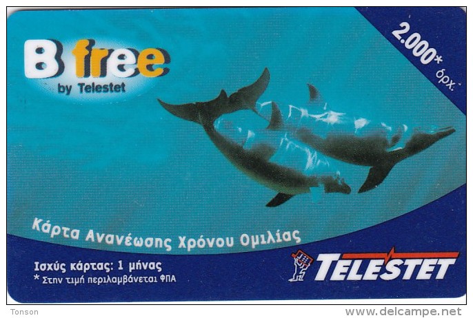 Dolphin D On Greece Card, 2 Scans. - Delfines