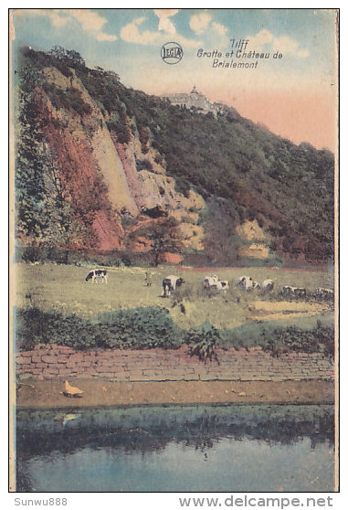 Tilff - Grotte Et Château De Brialemont (sic) Briamont (animée, Colorisée, Vaches) - Esneux