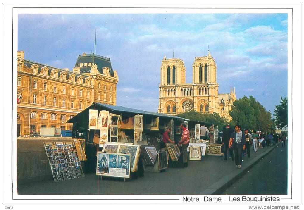 CPM - 75 - PARIS - Notre-Dame - Les Bouquinistes - Petits Métiers à Paris