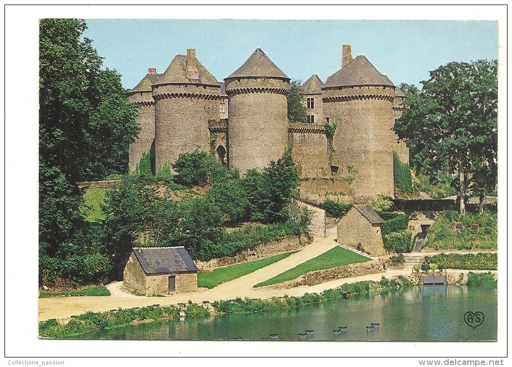 Cp, 53, Lassay, Le Château Féodal - Lassay Les Chateaux
