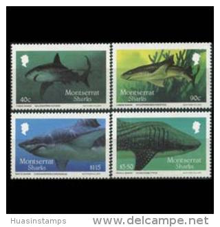 MONTSERRAT 1987 - Scott# 643-6 Sharks Set Of 4 MNH (XQ164) - Montserrat