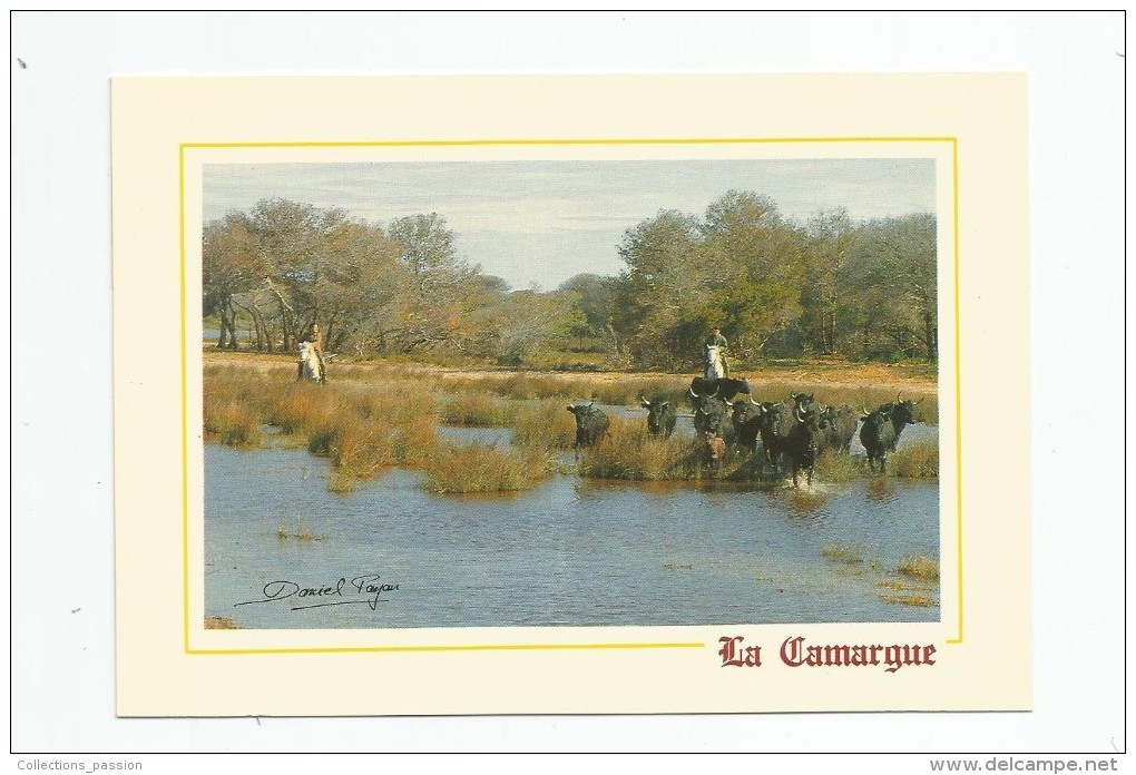 Cp , Taureaux , LA CAMARGUE , Ed : Du Soleil , 30240 MPP 162 , Vierge - Toros