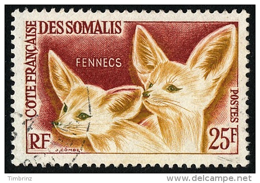 COTE DES SOMALIS 1962 - Yv. 308 Obl. TB  Cote= 6,50 EUR - Faune : Fennecs ..Réf.AFA21525 - Gebraucht