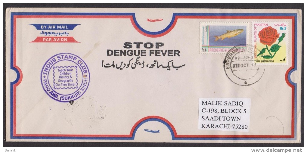 "STOP DENGUE FEVER" Health Slogan Mark On Postal History Cover From PAKISTAN Used 1.10.2013 Rose, Experimental Post Offi - Pakistan